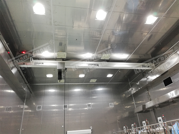 蘇州無塵室起重機(jī)訂制